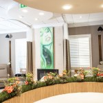 : A bright, open clinical space with multiple recovery bays separated by modern partitions